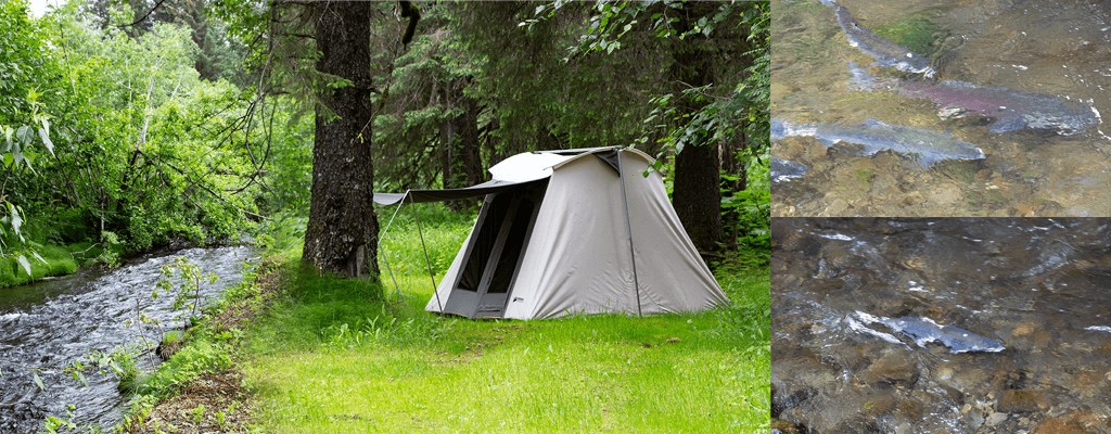 tent-camping-seward-2-copy